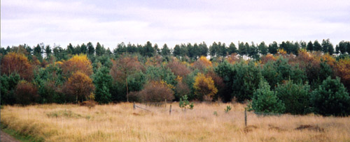 Photo image 10