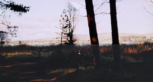 Photo image 3