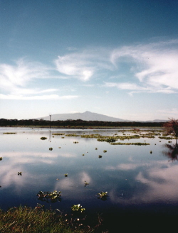 Kenyan Landscape