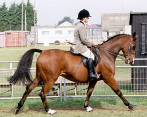 BSPS Royal Peterborough Show
